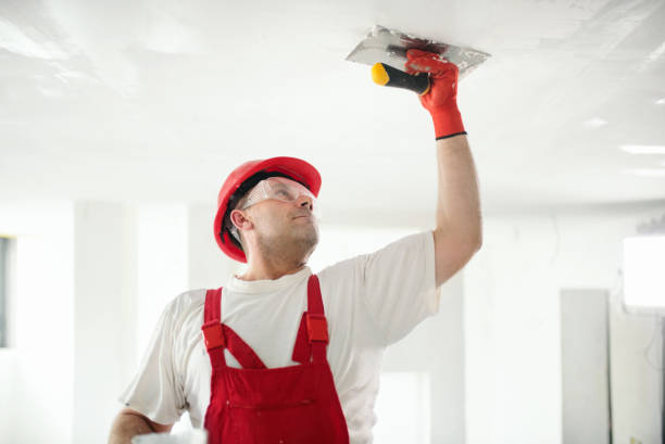 Best Wallpaper Removal and Painting  in Platteville, CO